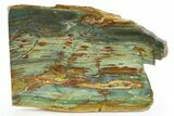 Gary Green Jasper (Larsonite) Bog Wood Slab - Oregon #302903-1